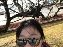 -名古屋城