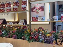 -哈根达斯(国瑞店)