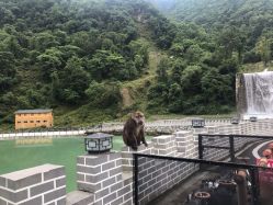 点击看大图 -川和潮人漂色·烫染·接发