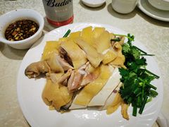 正宗白切鸡-巫记鸡饭店