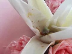 -循礼门鲜花花市(武汉循礼门店)