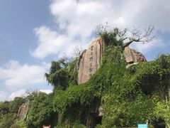 -云南野生动物园