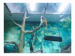 -福州罗源湾海洋世界旅游区