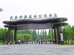 -黄海国家森林公园