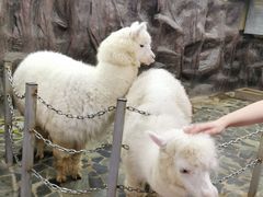 -上海大自然野生昆虫馆(东方明珠·爬宠昆虫探索中心)