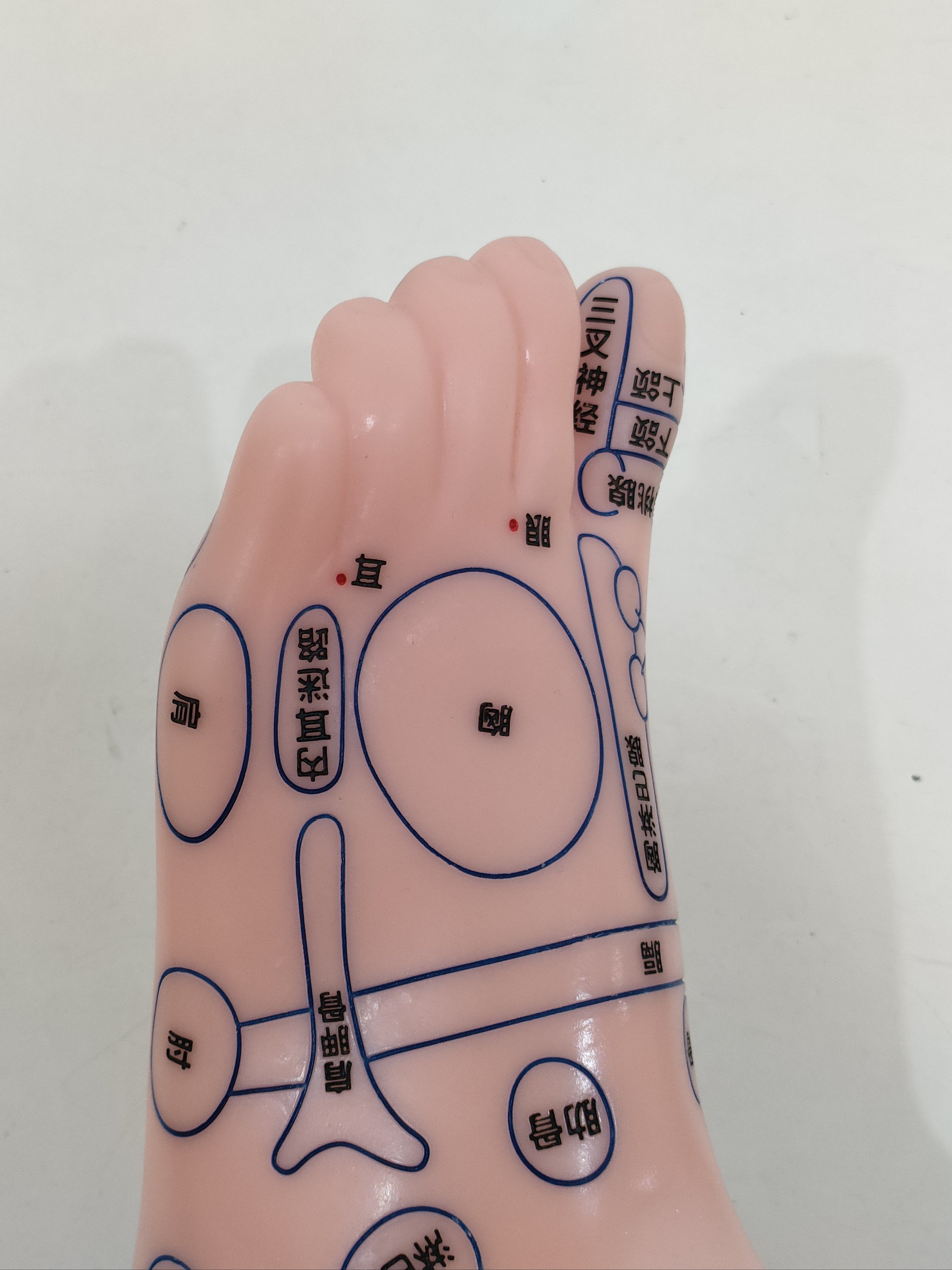 传统医学背后的故事