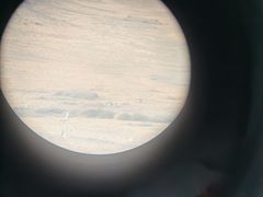 -鄱阳湖国家湿地公园