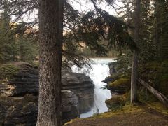 -阿萨巴斯卡瀑布观景点