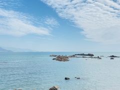 -小麦岛公园
