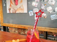 -柴犬高等学院·狗咖·柴犬售卖·宠物训练