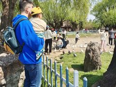 -南通洲际绿博园