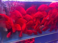 -三旗百汇商品城