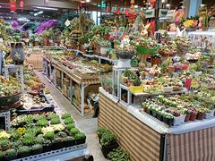 -大自然花鸟鱼虫市场