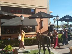 -The Cheesecake Factory(baldwin avenue)