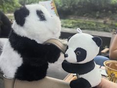 -乌托邦咖啡(武侯祠店)