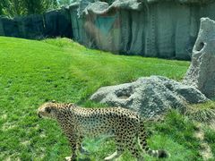 -北京野生动物园