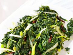 炝拌刺五加-庆岭迎宾园正宗活鱼馆