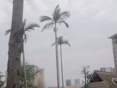 -灵玲国际马戏城