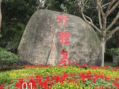-野狸岛