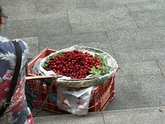 -节节香.成都非遗肥肠粉(总店)