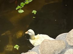 -馬蘭花開(车站大道店)