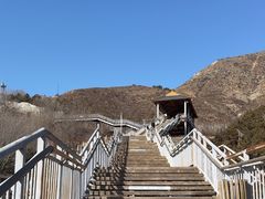 -大青山野生动物园