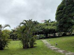 -南宁南湖公园