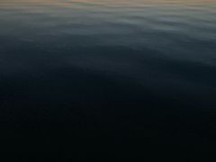 -苏州湾体育公园