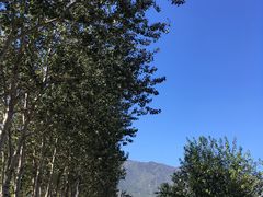 -北京鹫峰国家森林公园