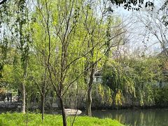 -尚贤河湿地