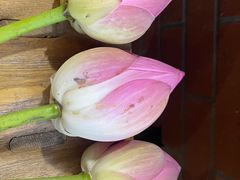 -白洋淀锅里口灶台鱼