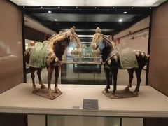 -西安大唐西市博物馆