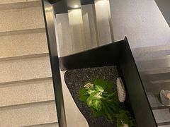 -御同亨酒楼·喜宴