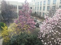 -顺鑫绿色度假村