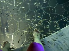 -海兰云天度假区温泉