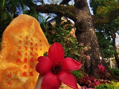 -广州中山纪念堂