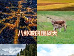 -特克斯八卦城