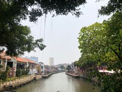 -马六甲鸡场街