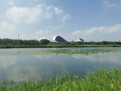-哈尔滨大剧院