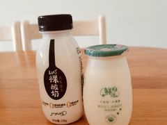 -一只酸奶牛(八一路店)