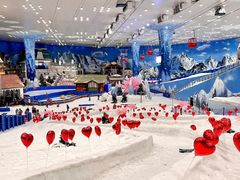 -湘江欢乐城欢乐雪域