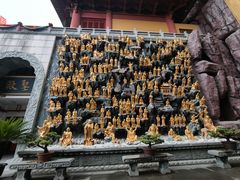 -上海东林寺(金山区)
