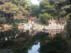 -叶家花园