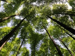 -山王坪喀斯特国家生态公园