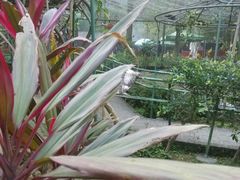 蝴蝶谷-鼎湖山风景区