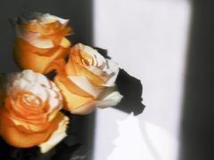 -王尔德与花