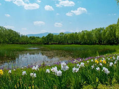 -翠湖国家城市湿地公园