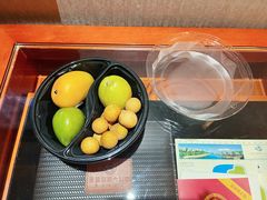 -圣爵菲斯大酒店(长沙世界之窗店)