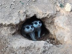 -杭州野生动物世界
