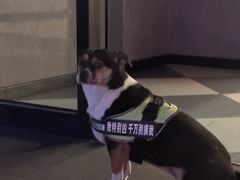 -一坐一忘云南菜(三里屯店)